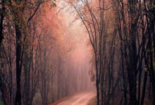 [高尔夫]斯皮思郁闷帕尔默邀请赛不给外卡：受伤也不能通融？.