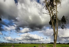 官方:尤文图斯中场法乔利因赌球被禁赛7个月央视网.