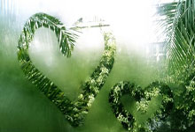 官方:尤文图斯中场法乔利因赌球被禁赛7个月央视网.